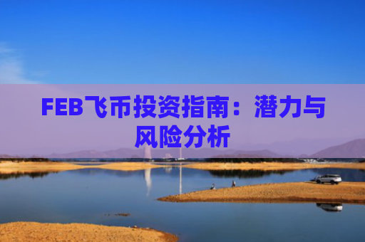 FEB飞币投资指南：潜力与风险分析
