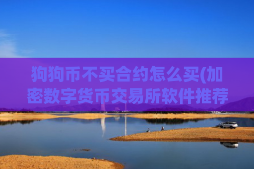 狗狗币不买合约怎么买(加密数字货币交易所软件推荐)