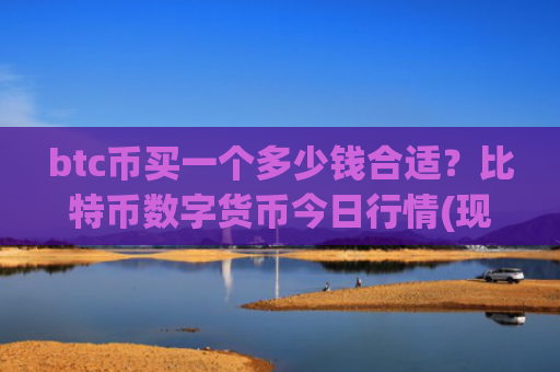 btc币买一个多少钱合适？比特币数字货币今日行情(现价699113.76元)