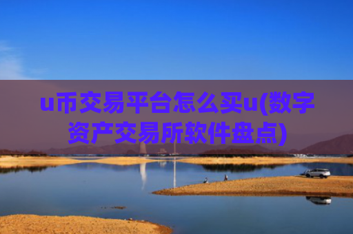 u币交易平台怎么买u(数字资产交易所软件盘点)