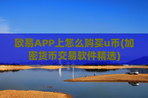 欧易APP上怎么购买u币(加密货币交易软件精选)