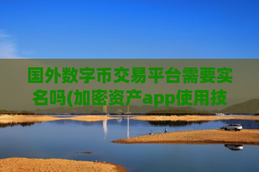 国外数字币交易平台需要实名吗(加密资产app使用技巧)