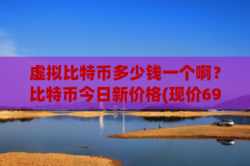 虚拟比特币多少钱一个啊?比特币今日新价格(现价698805.31元)
