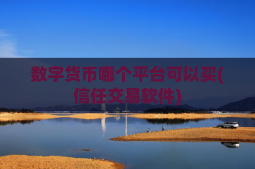 数字货币哪个平台可以买(信任交易软件)