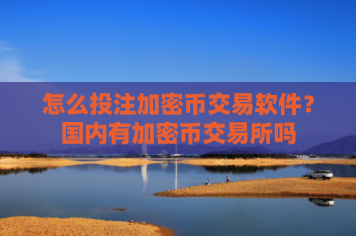怎么投注加密币交易软件？国内有加密币交易所吗