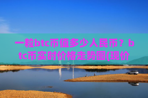 一粒btc币值多少人民币？btc币实时价格走势图(现价698349.54元)