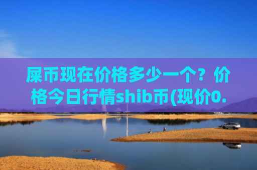 屎币现在价格多少一个？价格今日行情shib币(现价0.00021615元)