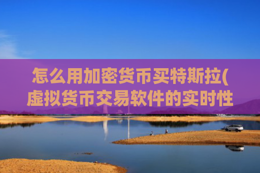 怎么用加密货币买特斯拉(虚拟货币交易软件的实时性)
