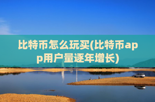 比特币怎么玩买(比特币app用户量逐年增长)