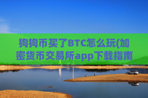 狗狗币买了BTC怎么玩(加密货币交易所app下载指南)