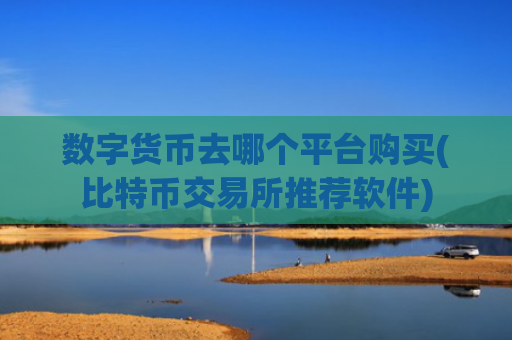 数字货币去哪个平台购买(比特币交易所推荐软件)