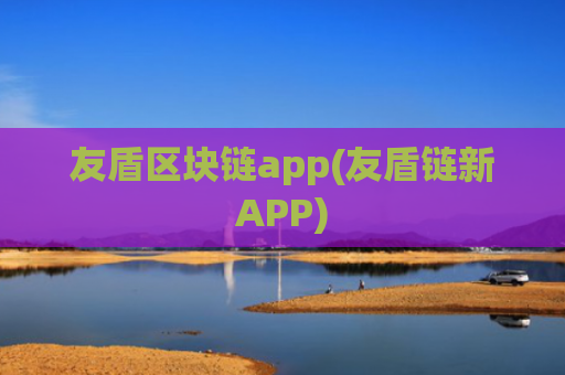 友盾区块链app(友盾链新APP)