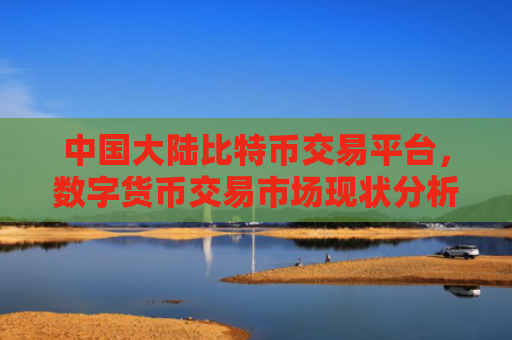 中国大陆比特币交易平台,数字货币交易市场现状分析