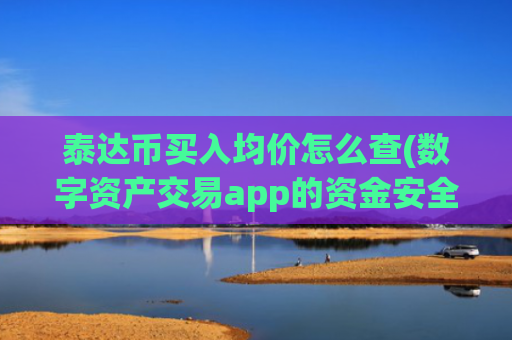 泰达币买入均价怎么查(数字资产交易app的资金安全)
