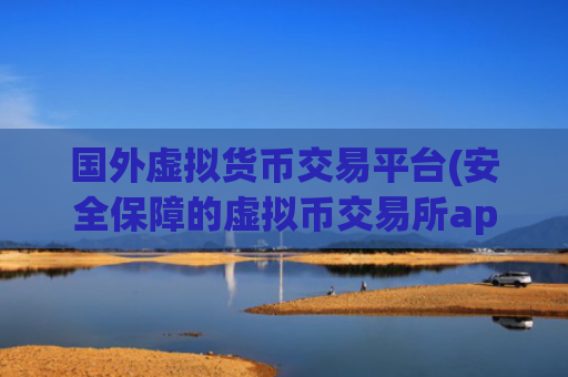 国外虚拟货币交易平台(安全保障的虚拟币交易所app)
