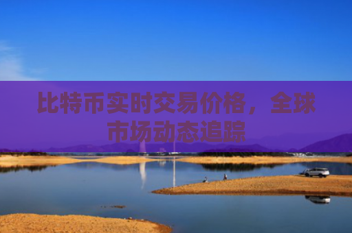 比特币实时交易价格，全球市场动态追踪