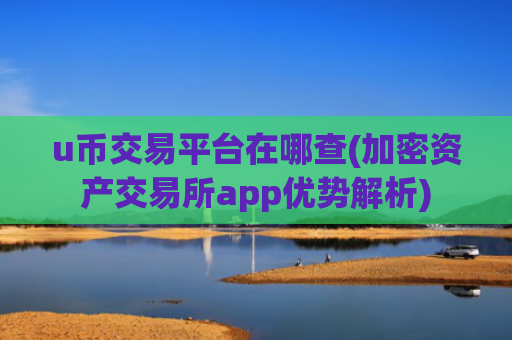 u币交易平台在哪查(加密资产交易所app优势解析)