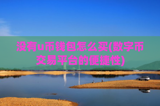 没有u币钱包怎么买(数字币交易平台的便捷性)