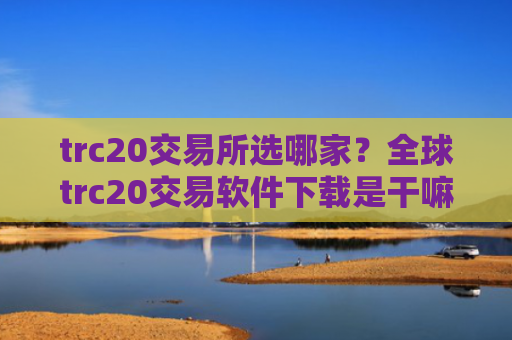 trc20交易所选哪家?全球trc20交易软件下载是干嘛的