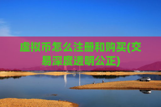 虚拟币怎么注册和购买(交易深度透明公正)