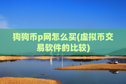 狗狗币p网怎么买(虚拟币交易软件的比较)