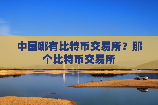 中国哪有比特币交易所?那个比特币交易所