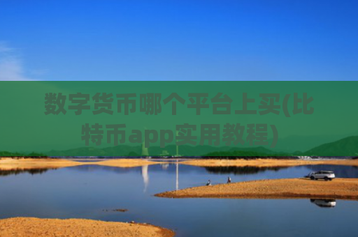 数字货币哪个平台上买(比特币app实用教程)