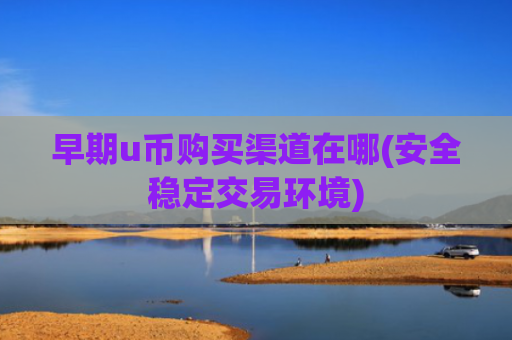 早期u币购买渠道在哪(安全稳定交易环境)