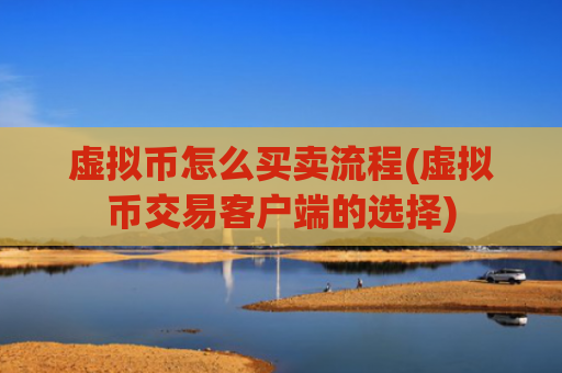 虚拟币怎么买卖流程(虚拟币交易客户端的选择)