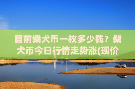 目前柴犬币一枚多少钱?柴犬币今日行情走势涨(现价0.00021818元)