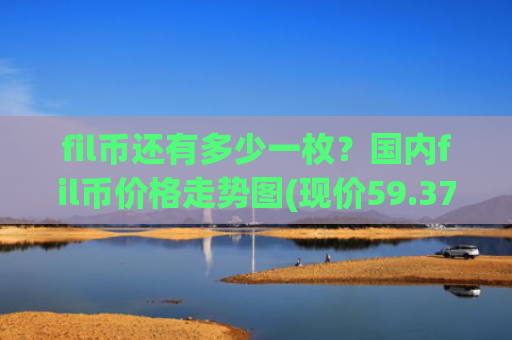 fil币还有多少一枚？国内fil币价格走势图(现价59.3787元)