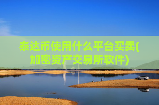 泰达币使用什么平台买卖(加密资产交易所软件)