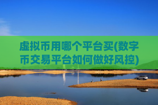 虚拟币用哪个平台买(数字币交易平台如何做好风控)