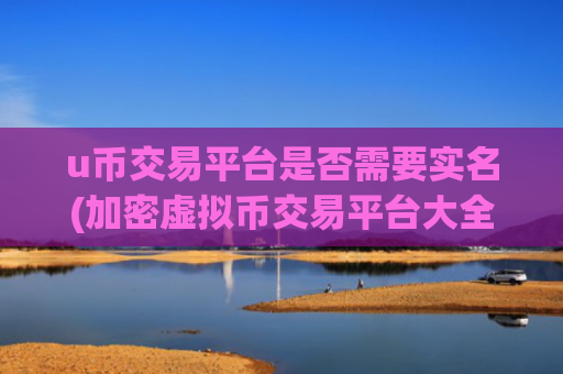 u币交易平台是否需要实名(加密虚拟币交易平台大全)