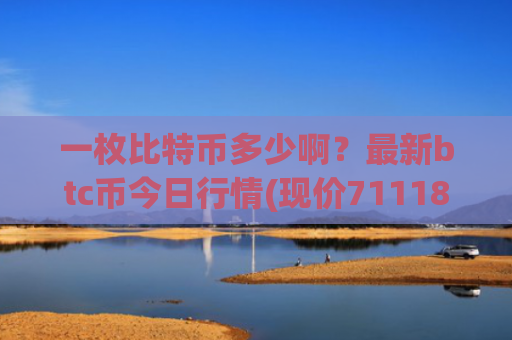 一枚比特币多少啊?最新btc币今日行情(现价711188.12元)