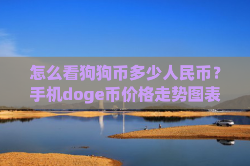 怎么看狗狗币多少人民币?手机doge币价格走势图表(现价3.1691元)
