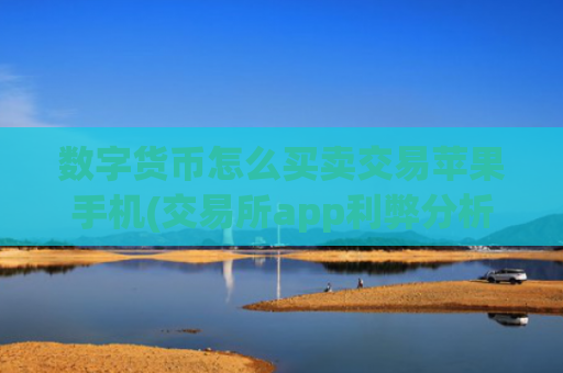 数字货币怎么买卖交易苹果手机(交易所app利弊分析)
