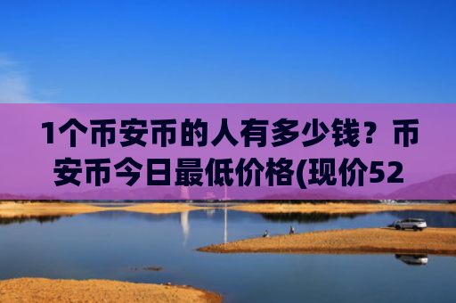1个币安币的人有多少钱?币安币今日最低价格(现价5275.91元)