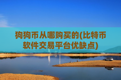 狗狗币从哪购买的(比特币软件交易平台优缺点)