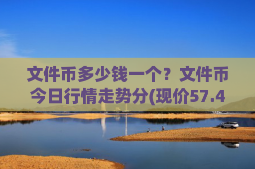 文件币多少钱一个?文件币今日行情走势分(现价57.4554元)