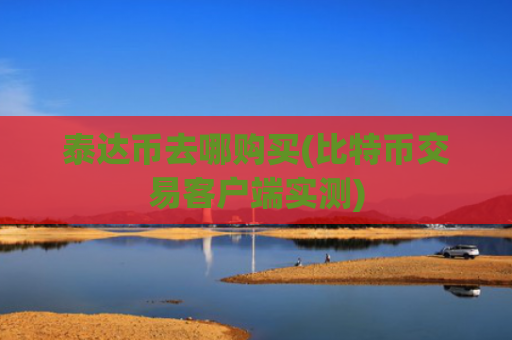 泰达币去哪购买(比特币交易客户端实测)