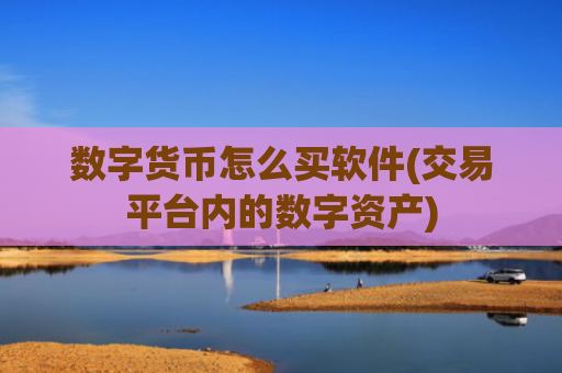 数字货币怎么买软件(交易平台内的数字资产)