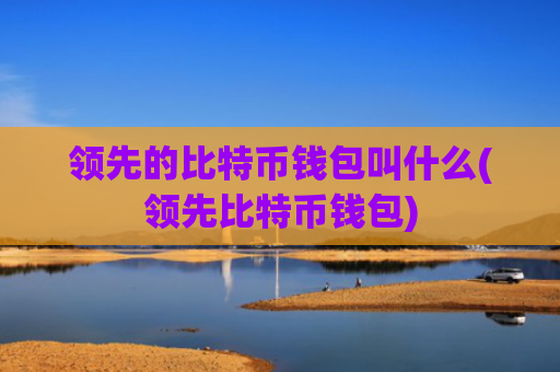领先的比特币钱包叫什么(领先比特币钱包)