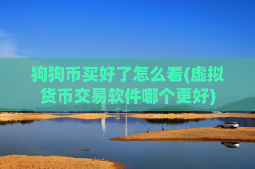 狗狗币买好了怎么看(虚拟货币交易软件哪个更好)