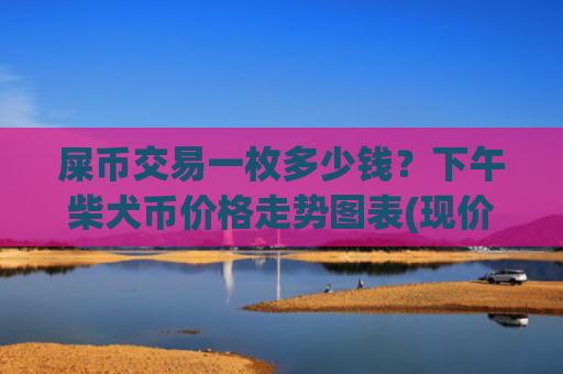 屎币交易一枚多少钱?下午柴犬币价格走势图表(现价0.00022289元)