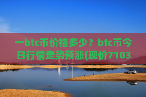 一btc币价格多少?btc币今日行情走势预涨(现价710365.35元)