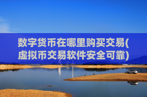 数字货币在哪里购买交易(虚拟币交易软件安全可靠)