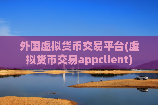 外国虚拟货币交易平台(虚拟货币交易appclient)
