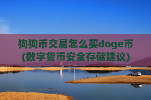 狗狗币交易怎么买doge币(数字货币安全存储建议)