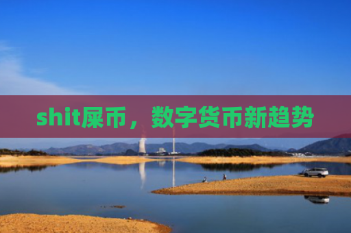 shit屎币,数字货币新趋势